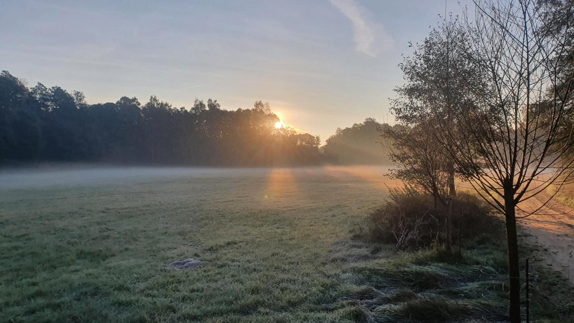 Am Gruenen Meer Muschen Bagian luar foto