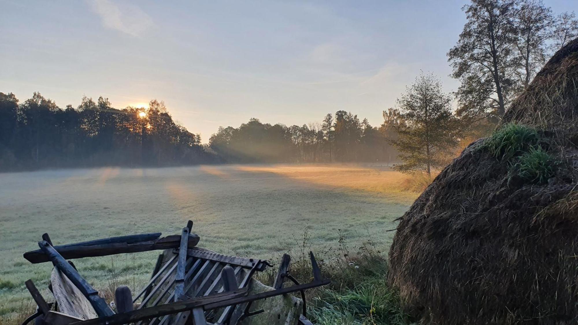 Am Gruenen Meer Muschen Bagian luar foto